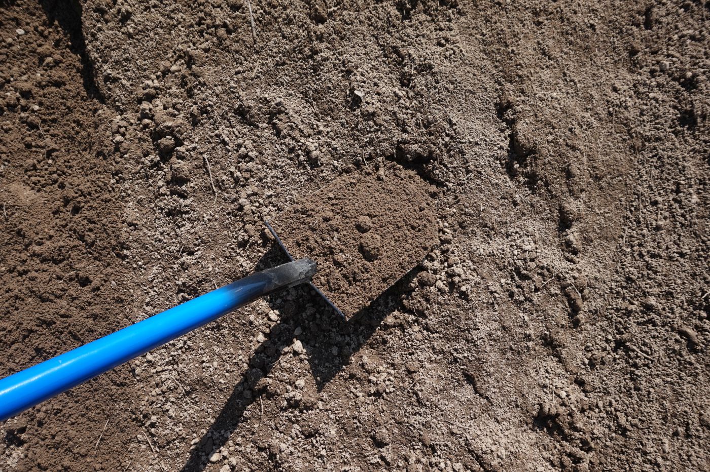 Đất bùn có nhiều công dụng quan trọng trong nhiều lĩnh vực